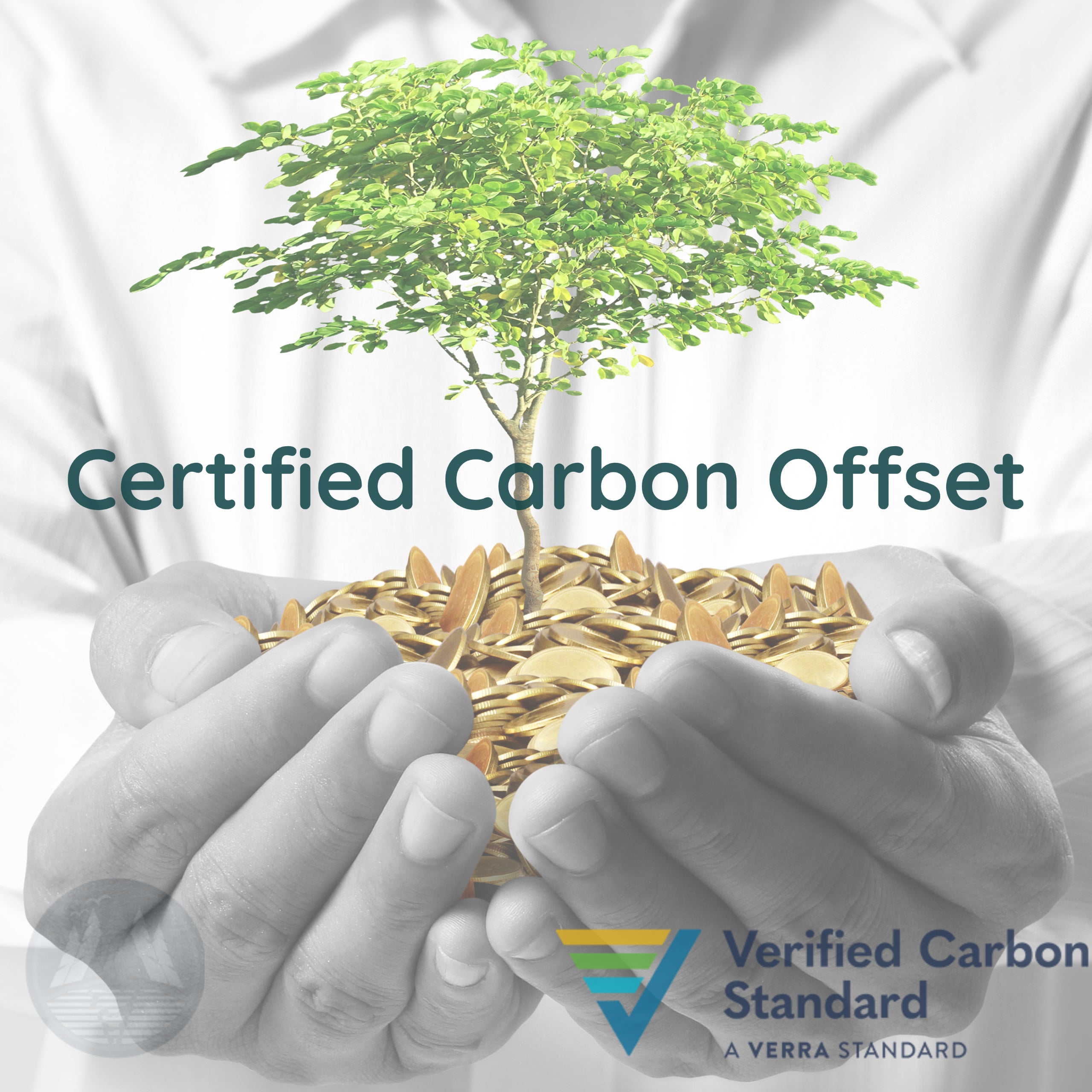 Personal Carbon Offsets